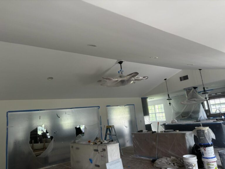 Painting services in florida