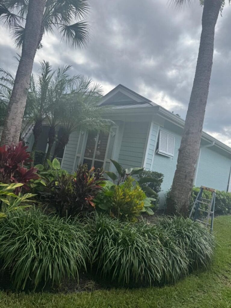 Painting services in florida