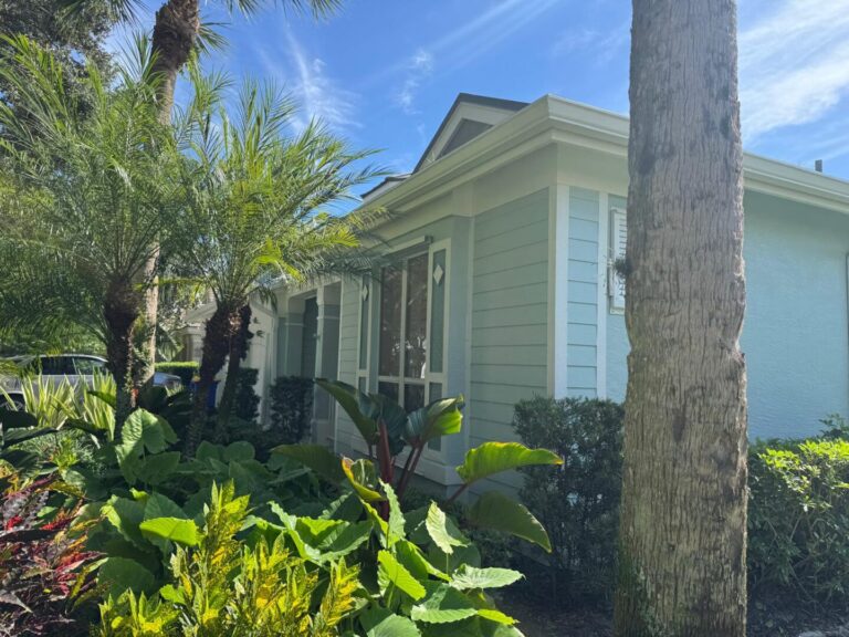 Painting services in florida